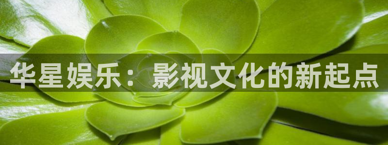 韦德1946体育官方入口：华星娱乐：影视文化的新起点