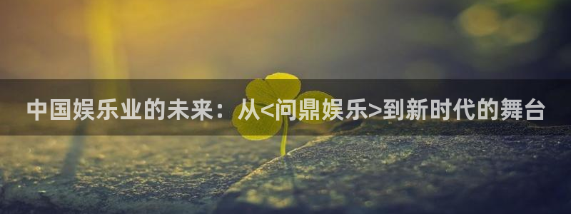 韦德1946网址：中国娱乐业的未来：从<问鼎娱乐>到新时代的舞台