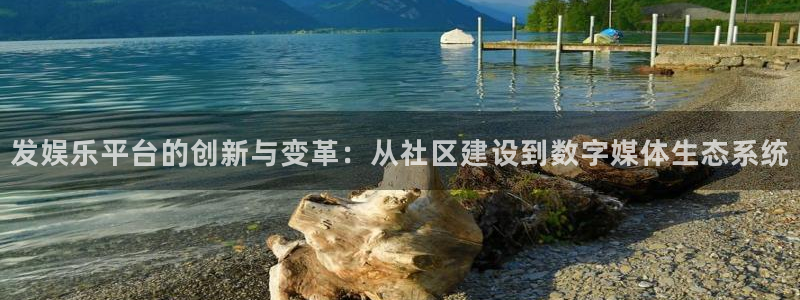 韦德1946官网：发娱乐平台的创新与变革：从社区建设到数字媒体生态系统